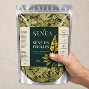 SENÉA Botanique Feuille de Séné - 1 kg – vue alternative | SENÉA Botanique