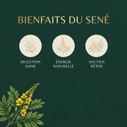 SENÉA Botanique Feuille de Séné - 500 g – détail du produit | SENÉA Botanique