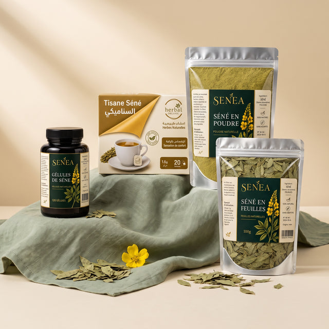 Pack Découverte SENÉA Botanique : tisane, gélules, poudre et feuilles de séné